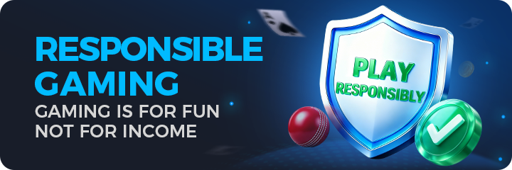 Responsible gaming banner stating gaming is for fun, not for income
